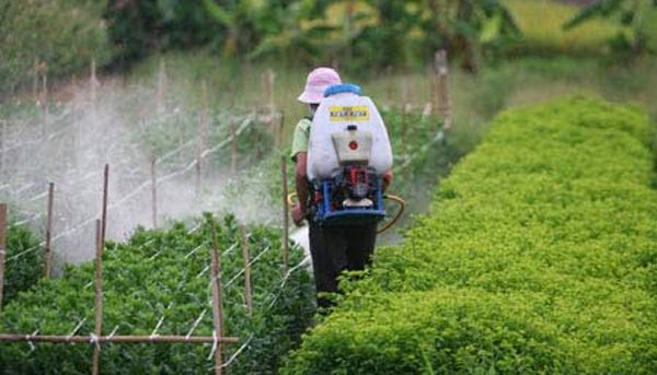Phòng chống nhiễm thuốc trừ sâu trong máu