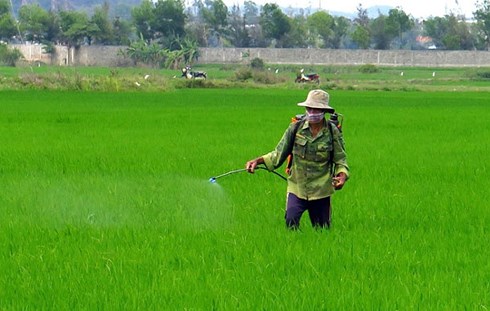 Phòng chống nhiễm thuốc trừ sâu trong máu